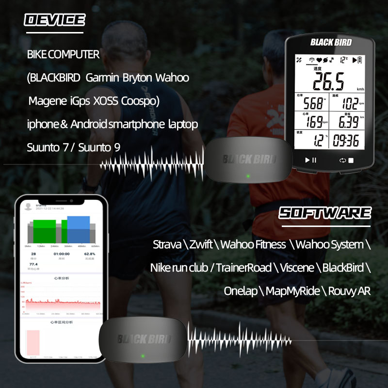 Sensor Detak Jantung BlackBird - Breath Rate Monitor ulasan dan harga